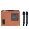 Loa Karaoke ACNOS SONCAMEDIA D'AURIS 200