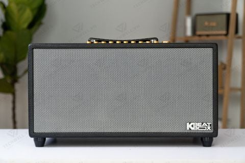 Loa Karaoke ACNOS HiNET450