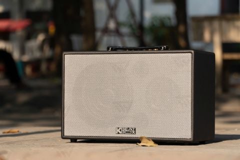 Loa Karaoke ACNOS CS261PU