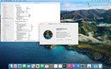  MacBook Pro 2018 15inch // Intel Core i7 | 16GB RAM | 512GB SSD // Màu sắc : Gray | Hình thức: 98- 