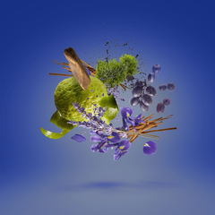 Nước Hoa Nam Xerjoff Casamorati Mefisto EDP