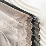  Quần lót  -  QL24005 