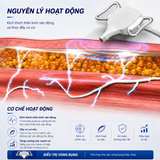  Máy kích thích cơ bằng từ trường cường độ cao MagGraver 