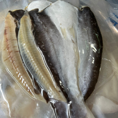 Khô Cá Dứa Thiên Nhiên 2 Nắng 500gr