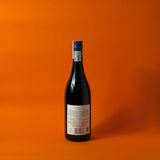  Seriously Cool Cinsault 2023 