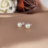  Đôi Bông Tai Ngọc Trai Nụ Chốt Bạc 8-8.5 ly - Stella Pearl E55017 