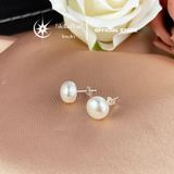  Bông Tai Nụ Ngọc Trai Lớn 10.5–11mm – Màu Trắng Ánh Mỡ Gà | Chốt Bạc S925 | Đơn Giản – Sang Trọng – Dễ Phối 