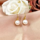  Bông Tai Móc Câu Ngọc Trai Nước Ngọt ~8-8.5mm - khung bạc xi vàng Stella Pearl E58301 