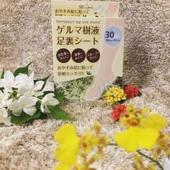 Miếng Dán Thải Độc Chân Germanium Nhật Bản Hộp 30 Miếng