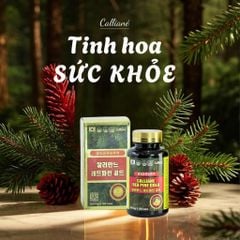 Tinh dầu thông đỏ Calliane Red Pine Gold 500mg hộp 100 viên