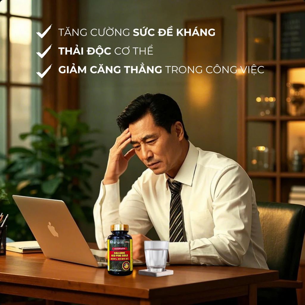 Tinh dầu thông đỏ Calliane Red Pine Gold 500mg hộp 100 viên