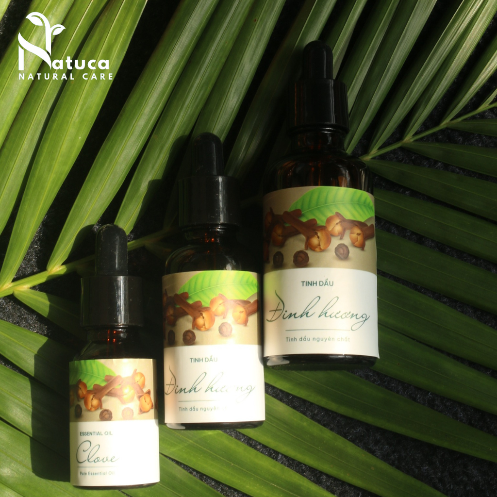 Tinh Dầu Đinh Hương Clove Essential Oil