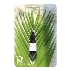 Tinh Dầu Gỗ Tuyết Tùng Cedarwood Essential Oil
