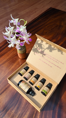 Set 5 Tinh Dầu Đa Năng Natuca: Oải Hương, Nhũ Hương, Tràm Trà, Bạc Hà, Chanh Vàng Kèm Dầu Dừa