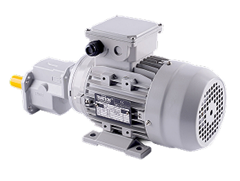 Motor tải cám và bộ trung chuyển