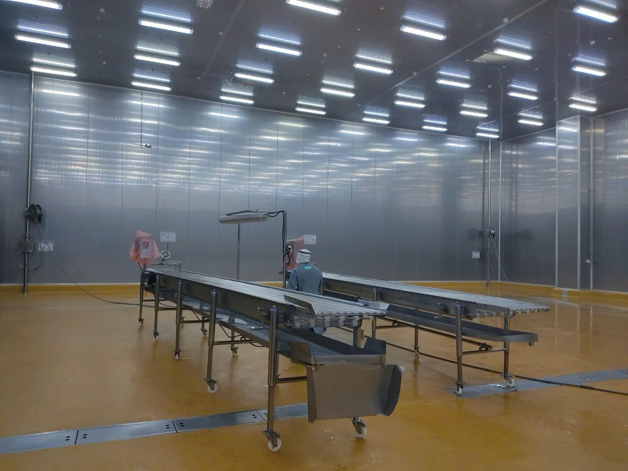 Cung cấp và lắp đặt băng tải