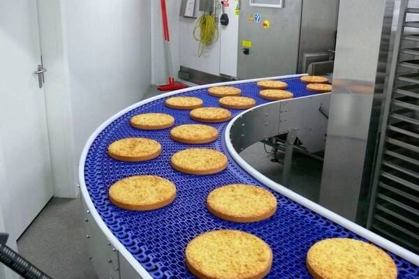 Băng tải chế biến thực phẩm