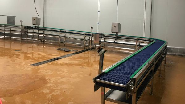 Băng tải chế biến thực phẩm