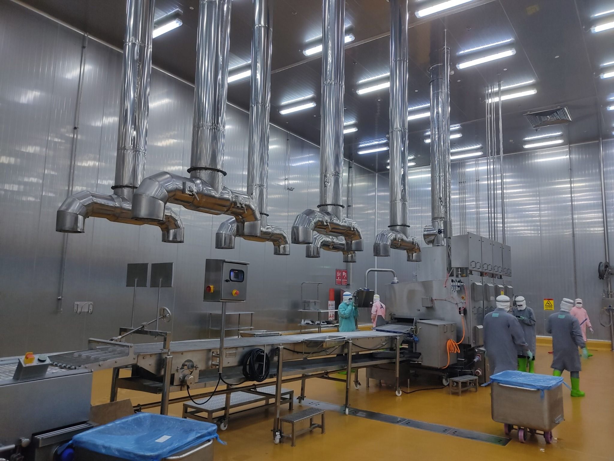 Băng tải Roller/ Băng tải con lăn