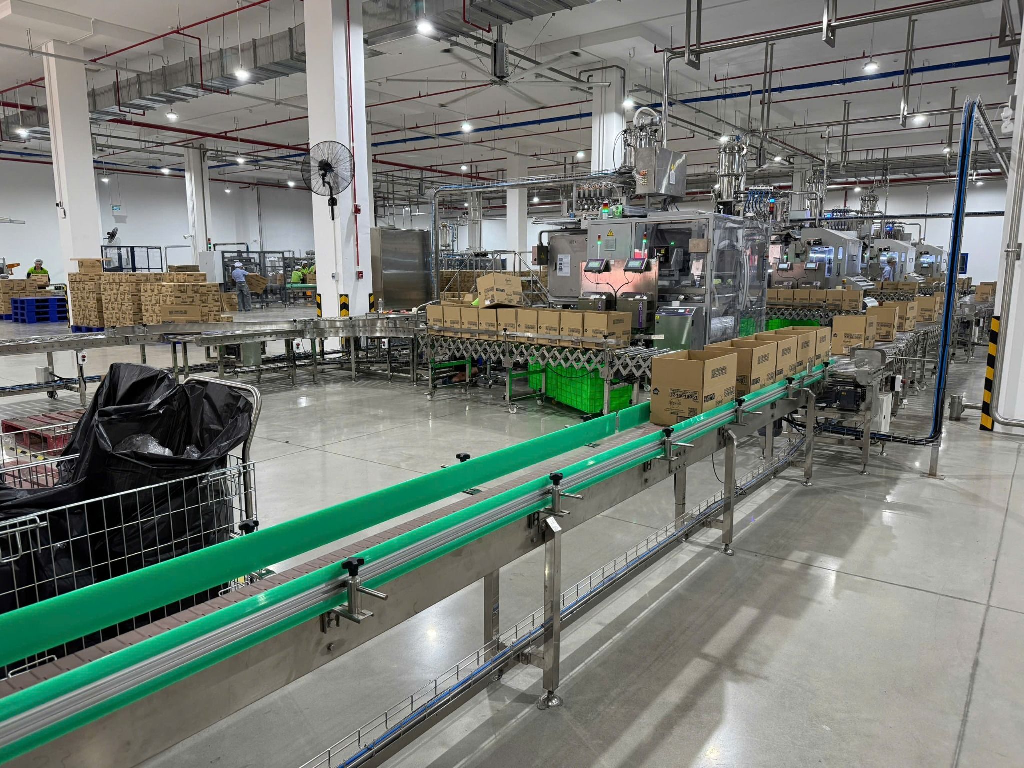 Băng tải Roller/ Băng tải con lăn