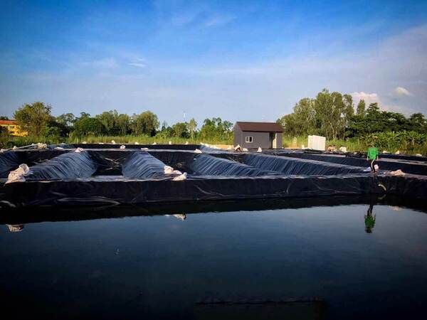 Bạt nuôi tôm HDPE