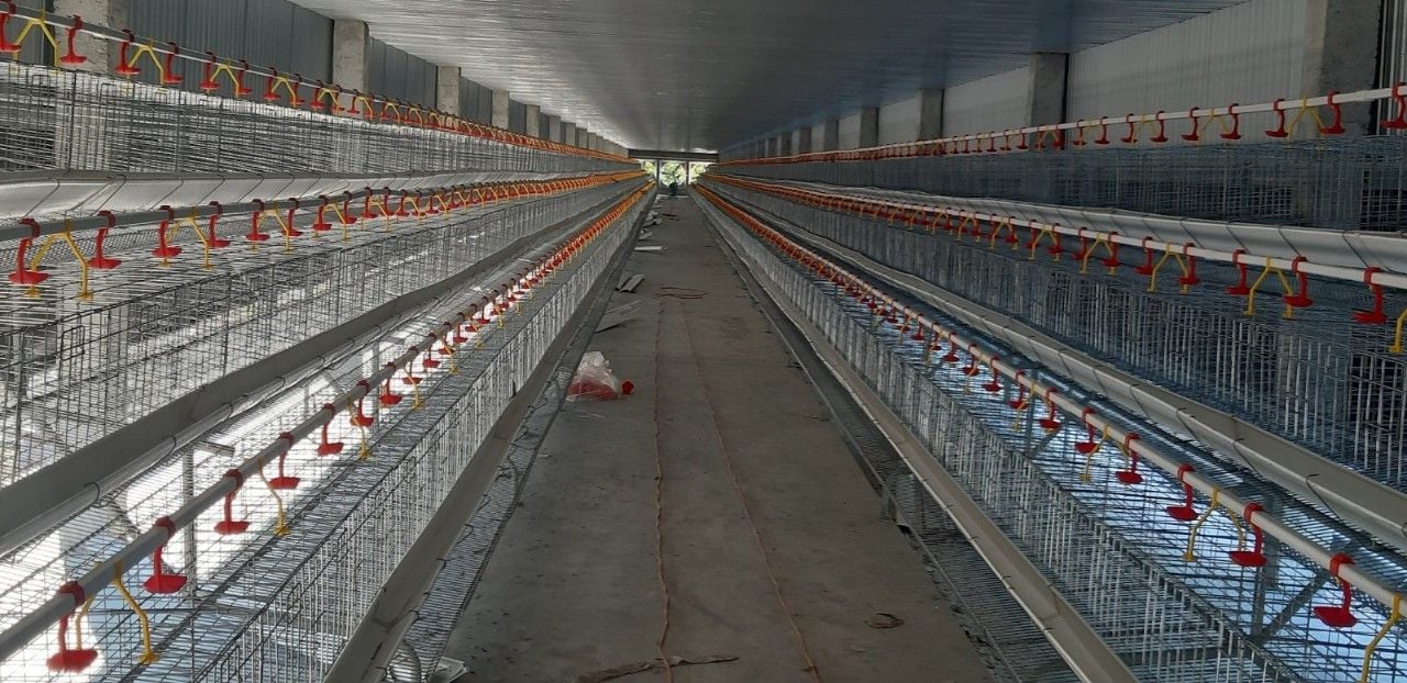 Chuồng gà lồng kẽm