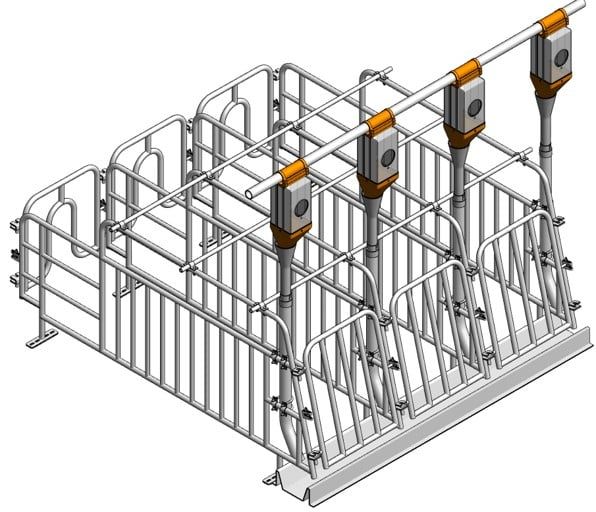 Chuồng heo mang thai – Máng dài, 2 cửa đi