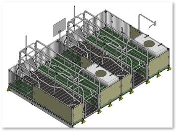 Chuồng heo nái đẻ – Sàn gang