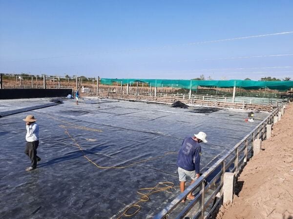 Bạt nuôi tôm HDPE