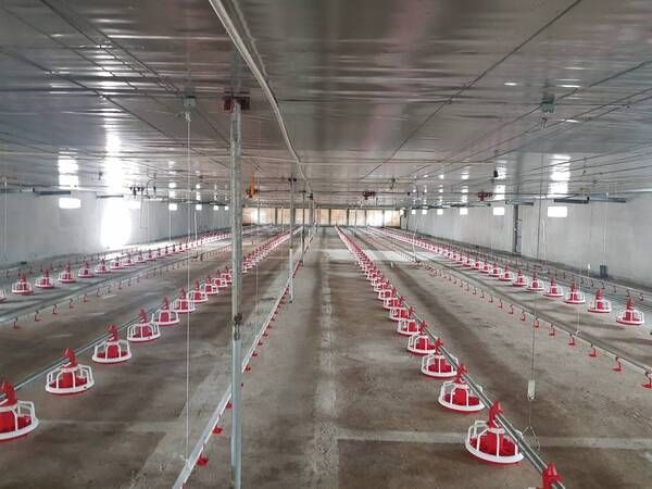 Thiết bị núm uống