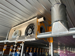 Hệ thống ăn tự động SKIOLD MiniPork