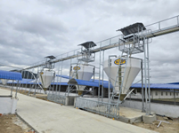 Hệ thống chuyển cám trung tâm silo