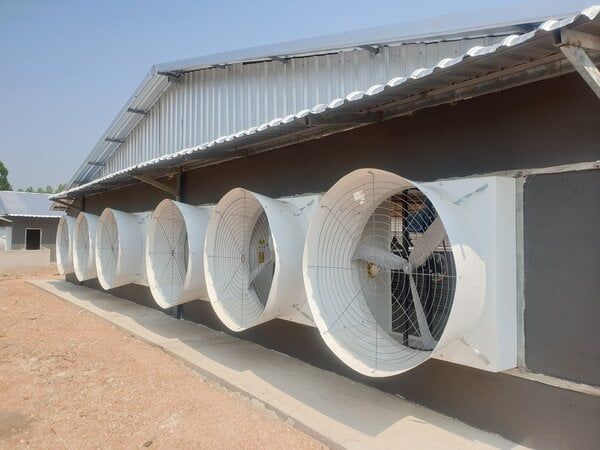 Lắp đặt hệ thống điện MTS chất lượng cao, an toàn, bền bỉ