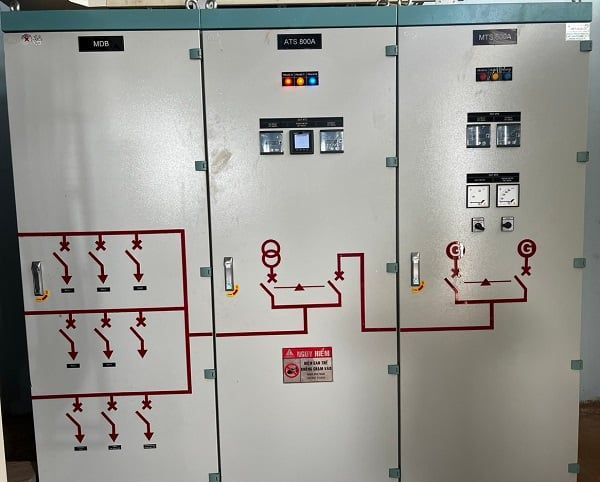 Thi công nhà máy giết mổ gia súc