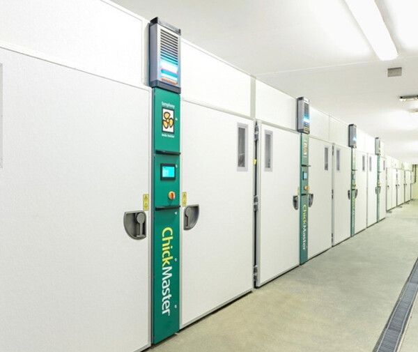 Nhà máy ấp trứng