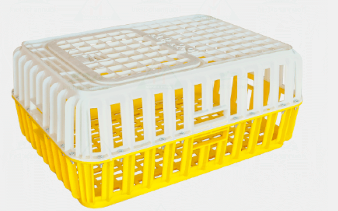 Lồng bắt gà con