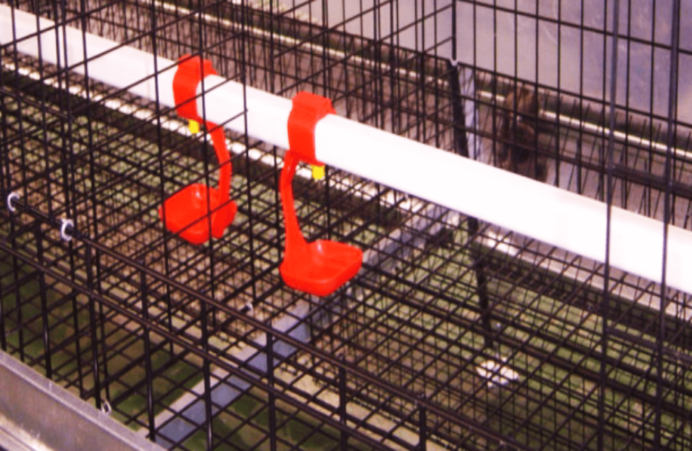 Chuồng gà lồng kẽm sơn tĩnh điện