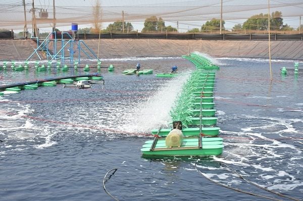 Máy thổi khí nuôi tôm Trundean