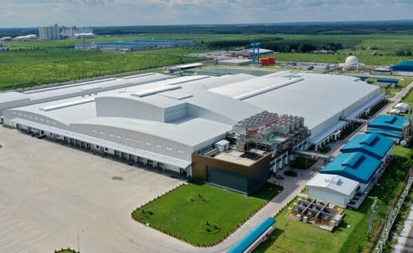 Thi công nhà máy chế biến thịt