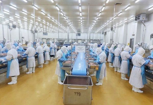 Nhà máy chế biến thịt gà