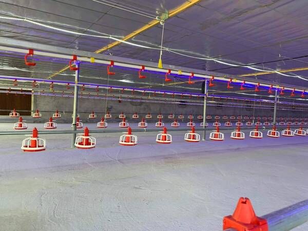 Thiết bị núm uống