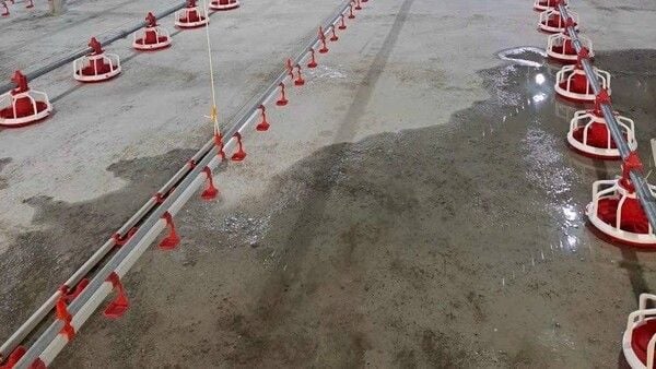 Thiết bị núm uống