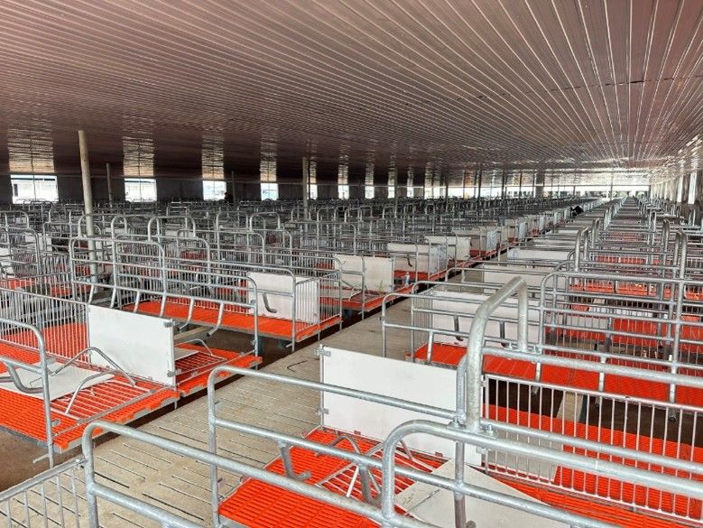 CHUỒNG HEO NÁI ĐẺ