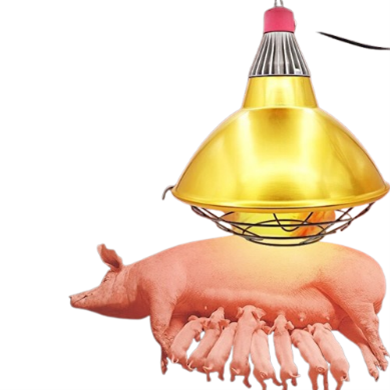 Hệ thống sưởi