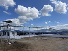 Hệ thống chuyển cám trung tâm