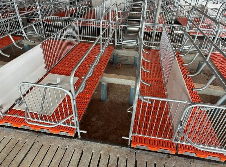 CHUỒNG HEO NÁI ĐẺ