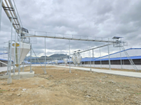 Hệ thống chuyển cám trung tâm