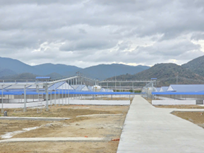 Hệ thống chuyển cám trung tâm