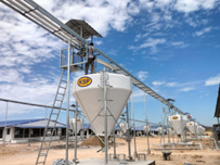 Hệ thống chuyển cám trung tâm