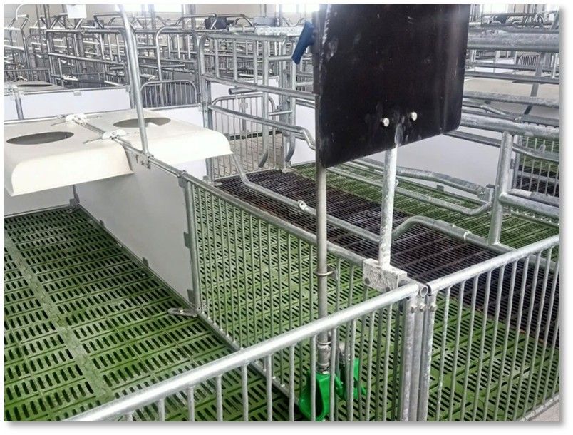 CHUỒNG HEO NÁI ĐẺ